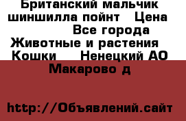 Британский мальчик шиншилла-пойнт › Цена ­ 5 000 - Все города Животные и растения » Кошки   . Ненецкий АО,Макарово д.